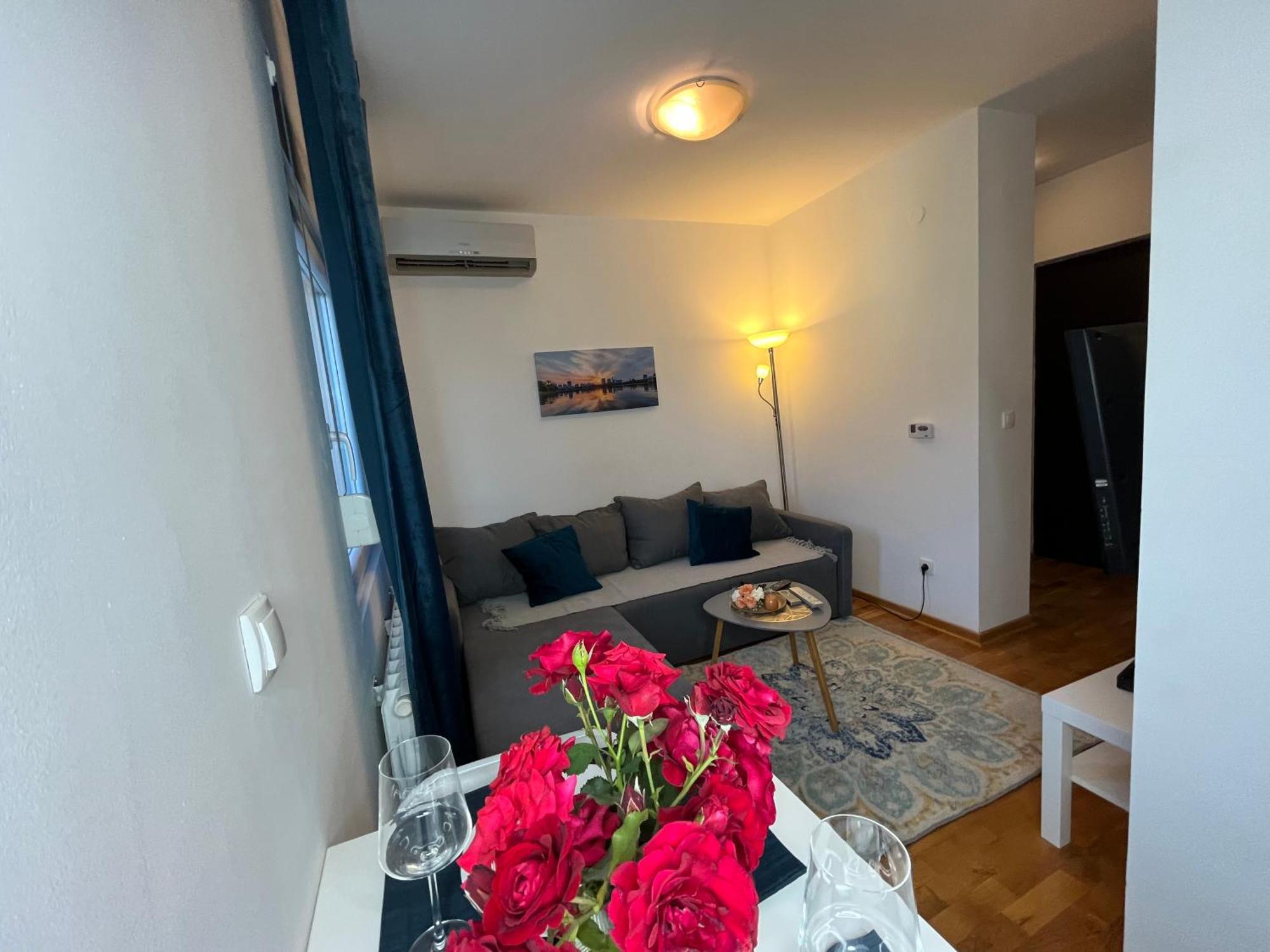 Nbg Hills Apartments 贝尔格莱德 外观 照片